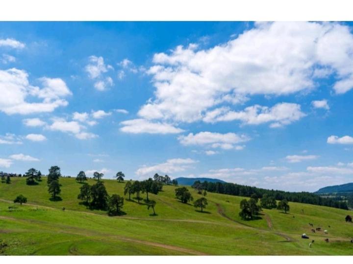 Avantura Studio 1 Zlatibor Exteriér fotografie