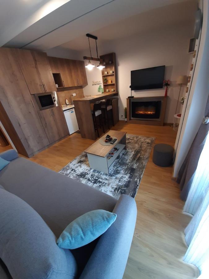 Avantura Studio 1 Zlatibor Exteriér fotografie