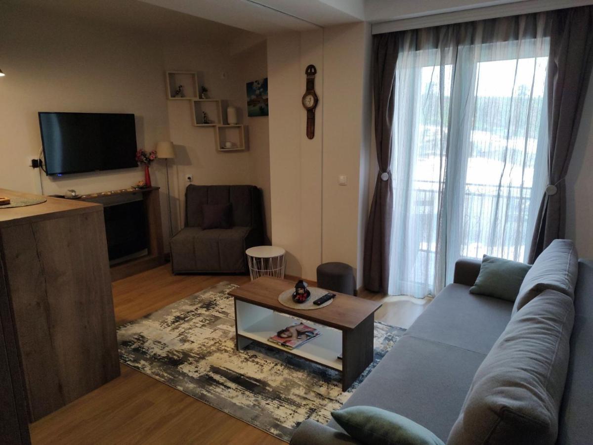 Avantura Studio 1 Zlatibor Exteriér fotografie
